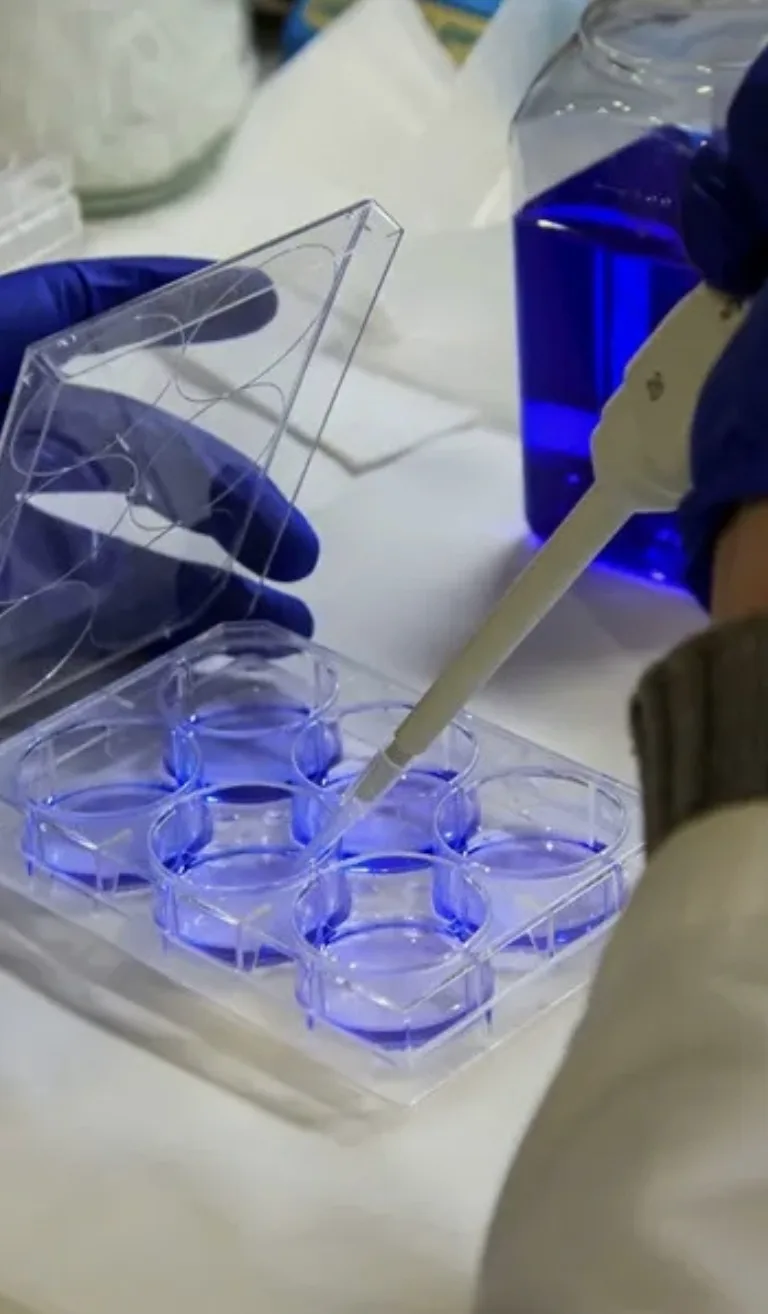 Ciencia y preparación clínica en Essencell